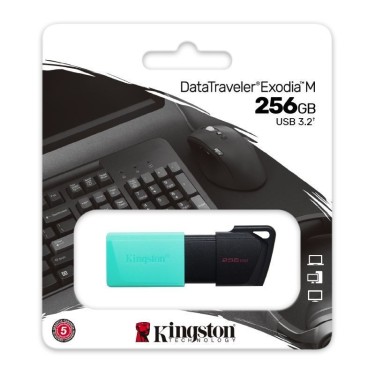 PENDRIVE KINGSTON 256 GB USB 3.2